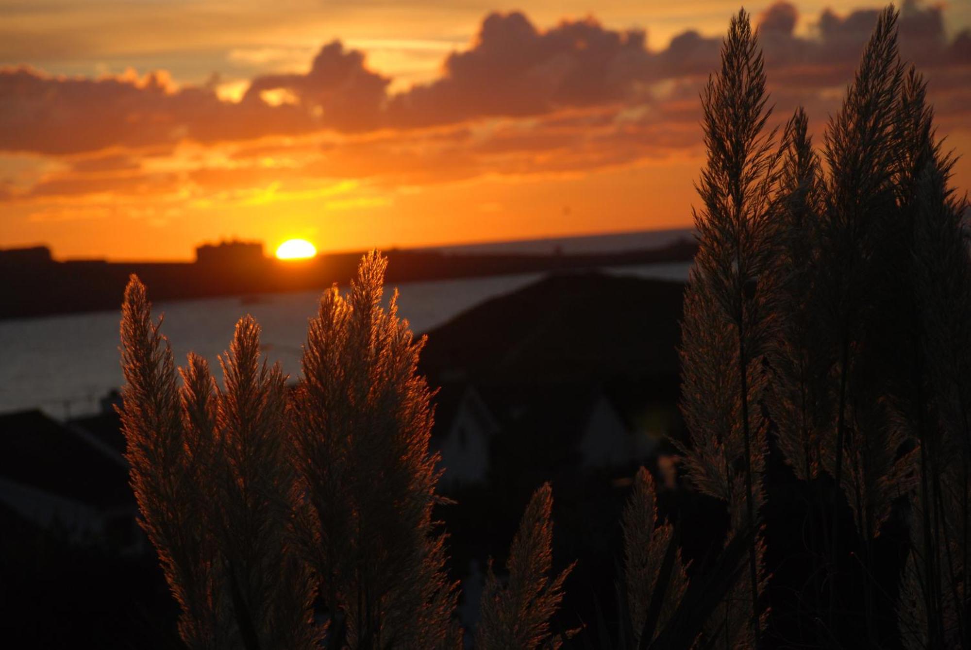 The Whipsiderry Hotel Newquay  Luaran gambar