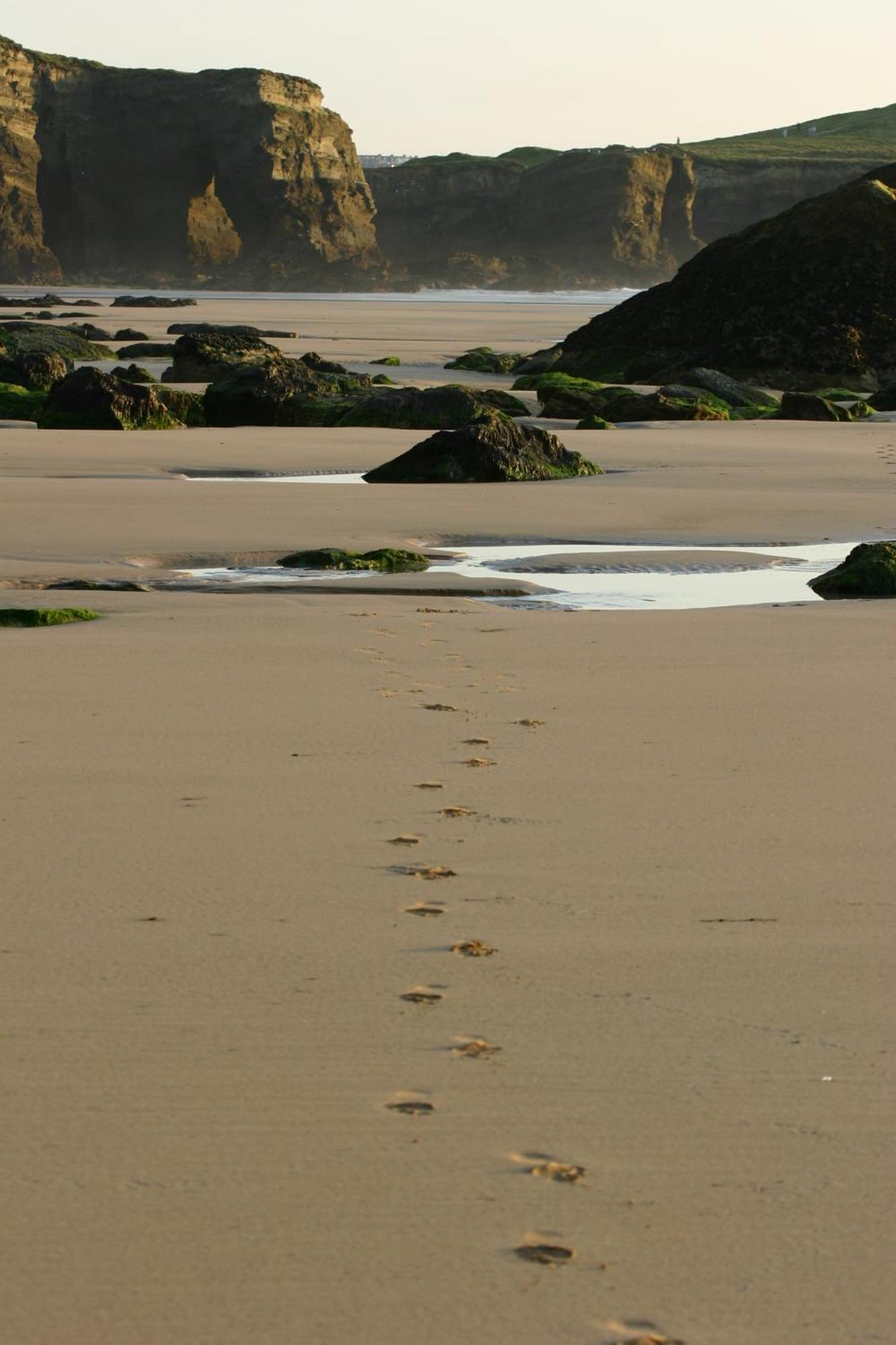 The Whipsiderry Hotel Newquay  Luaran gambar