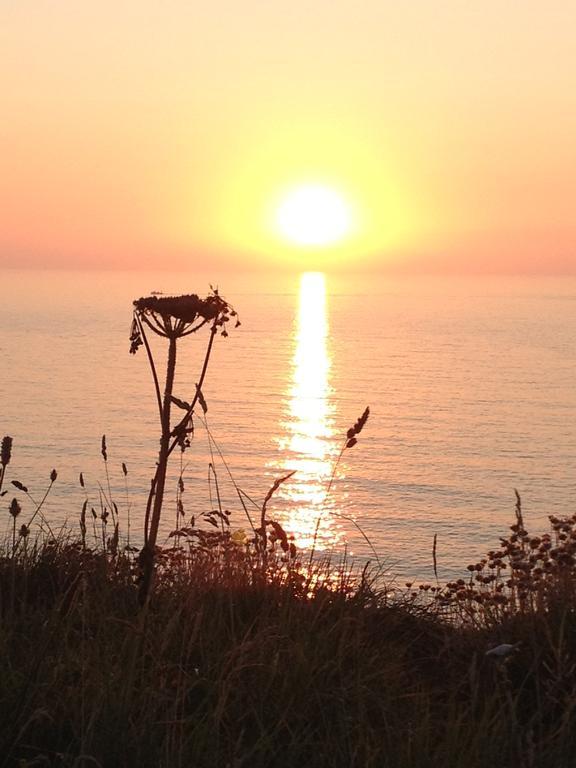 The Whipsiderry Hotel Newquay  Luaran gambar